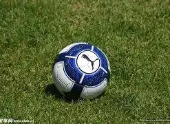 张兰以诗歌,形式为汪小,菲庆生,B体育官网,B体育直播,体育赛事直播,足球直播