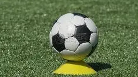 B体育 产品 115823 pes