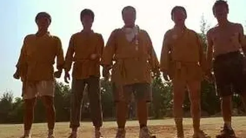 B体育 资讯 141906 qft