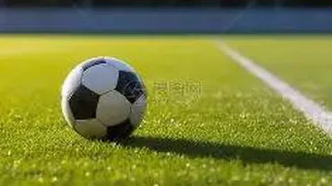 B体育 资讯 143309 7w5