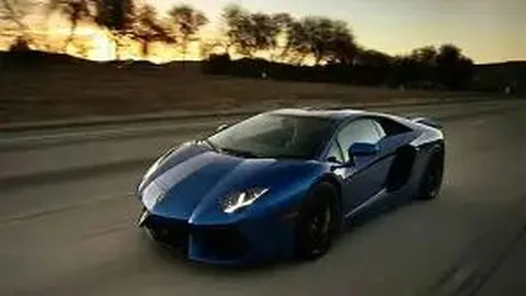 山东黄金(600547)年度业绩报告