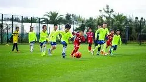 2026年世界杯官方拨款达7.27亿，冠军奖金高达5000万